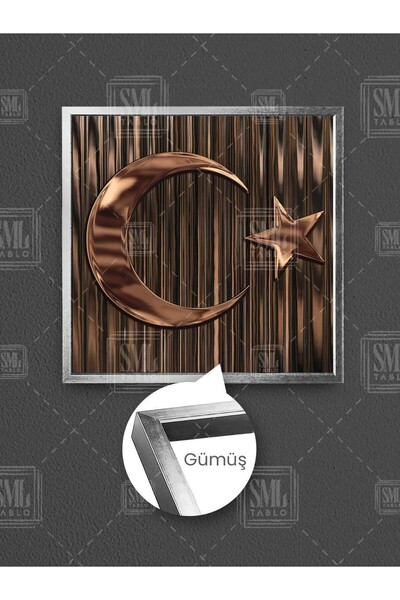 SML TABLO Bronze Metallic Moon Star Turkish Flag Framed Square Canvas Painting