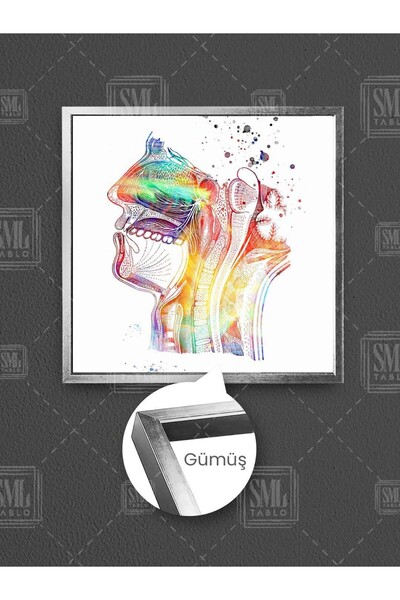 SML TABLO Клиника по УНГ Цветна рентгенова снимка на глава в рамка, квадратна платно