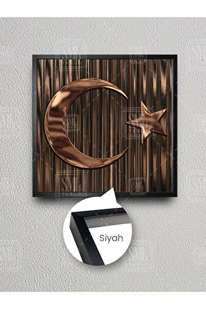 SML TABLO Bronze Metallic Moon Star Turkish Flag Framed Square Canvas Painting