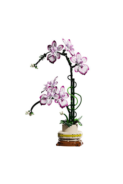 Choice 696 قطعة من مكعبات بناء زهور الأوركيد من نو بوكس، إكسسوار ديكور منزلي للبالغين، مجموعة نباتية،