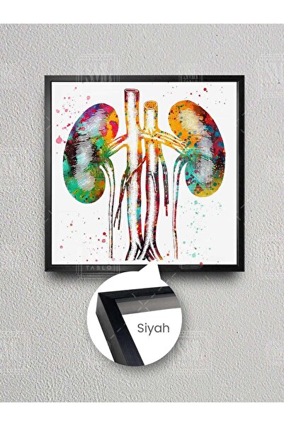 SML TABLO Urolog Doktor Urologije Klinika Dekor Šarene Ilustracije Uramljena ...