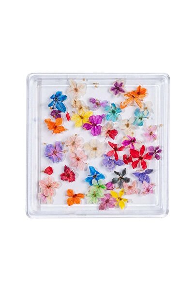 LUXORISE Unghii cu flori uscate - Flori curcubeu