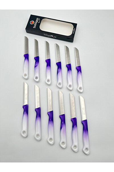 Solingen Orijinal Ritter Ebruli 12 Adet Meyve Bıçağı Mor
