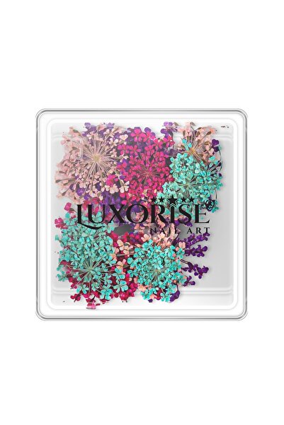 LUXORISE Dried Flowers Nails - Flowers Spice