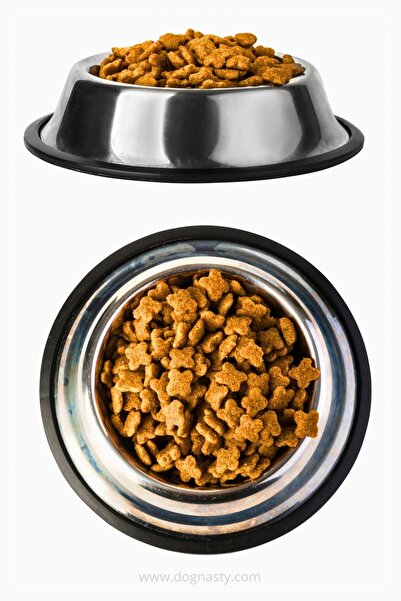 Atölye Ham 2 Adet Paslanmaz Çelik Mama Ve Su Kabı, Alt Taban 22Cm*4,5Cm (500 ML-16 OZ)