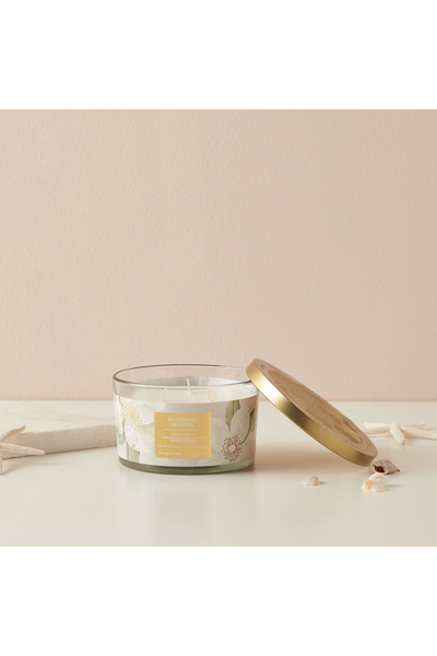 Scent.d London شمعة سينت.دي برائحة الياسمين المزهر بثلاث فتائل - ٤٥٠ غرام