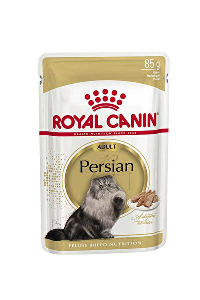 Royal Canin طعام القطط الفارسية البالغة الرطب