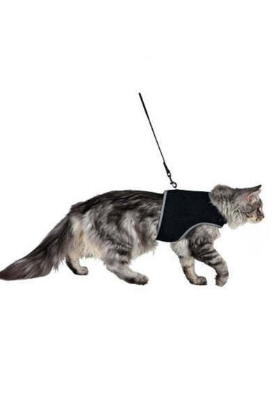 Trixie حزام ناعم مع مقود للقطط الكبيرة