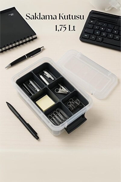 Depa 1.75 L Transparent Storage Box & Organizer Organizing Box