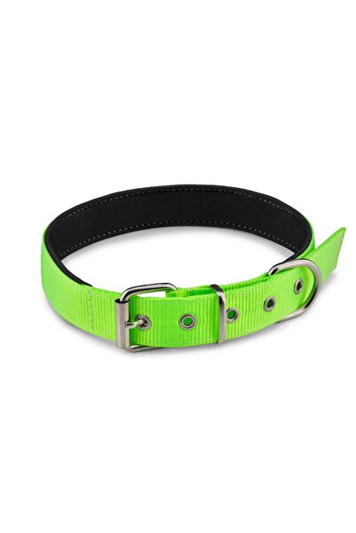 Köpek Boyun Tasması
