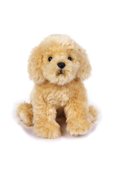 OEM Jucarie de plus Catel Pudle Paddy My puppy 25 cm