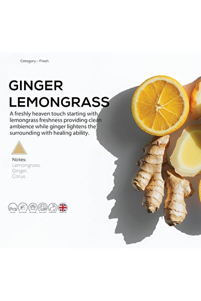 Generic معطر جو دكتور سينت بريز أوف جوي برائحة زهر الزنجبيل (500 مل)