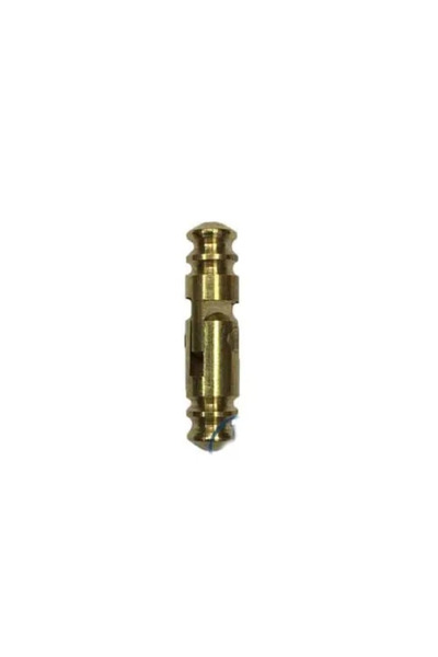 Twin Store Brass Concealed, Stick Box Hinge - 5X20Mm, 1 Piece