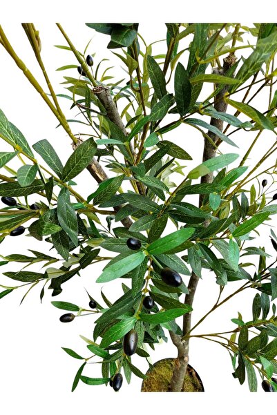 MAKİ DEKOR YAPAY ZEYTİN 170 CM BOYUNDA DEKORATİF MODERN İÇ MEKAN SALON OFİS AĞACI