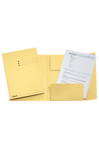 Esselte cardboard envelope file 3 flaps yellow
