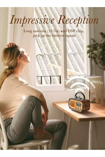 Denx Dx2448 Hi-fi Radio Fm/am/ 3 Band Radio Usb/tf/bt Player