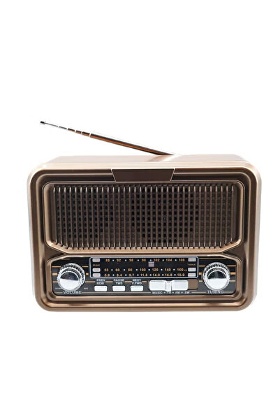 Denx Dx2445 Rechargeable Hi-fi Radio With Remote Control, Large Capacity Battery