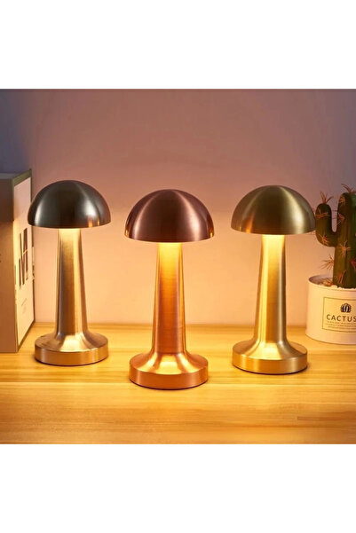 Epilons Masa Üstü Dokunmatik Ledli Lamba Alk3411