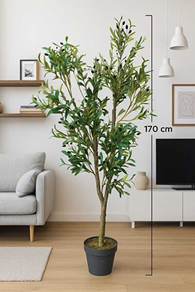 MAKİ DEKOR YAPAY ZEYTİN 170 CM BOYUNDA DEKORATİF MODERN İÇ MEKAN SALON OFİS AĞACI