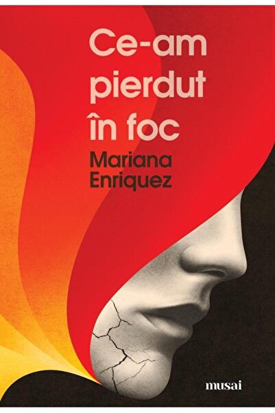 Editura Art Ce-am pierdut in foc, Mariana Enriquez