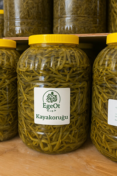 EgeOt Gıda Kayakoruğu Turşusu (5kg)