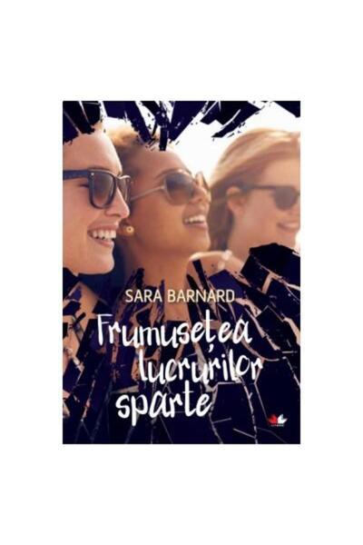 Editura Litera Frumusetea lucrurilor sparte, Sara Barnard