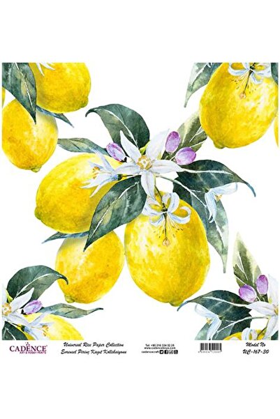Cadence Universal Rice Decoupage Paper - Uc-167