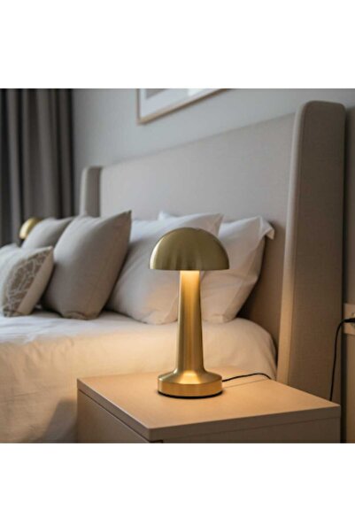 GAFT 2x Gold Lighted Lamp with USB Charger