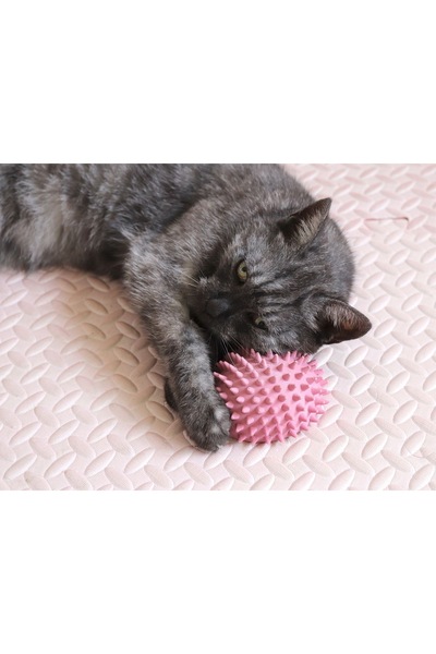 SS 3D MODELLEME جهاز حك القطط، جهاز للحك والفرك للقطط