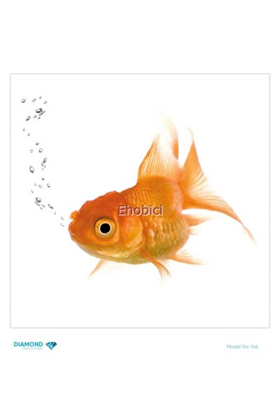 ehobici ورق ديكور نحاسي ماسي - 146 - 30x30