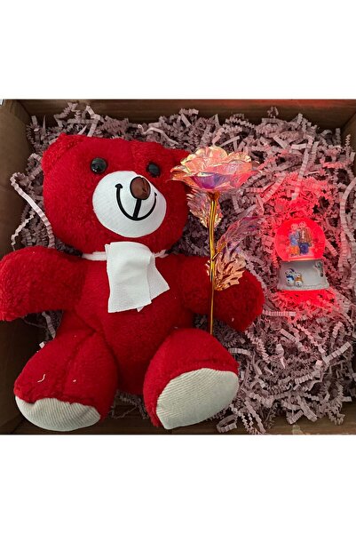 AYDA STORE PELUŞ OYUNCAK SOLMAYAN GÜL VE IŞIKLI KAR KÜRESİ HEDİYE SETİ