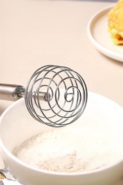 EWs Stainless Steel Spring Egg Beater 22 cm