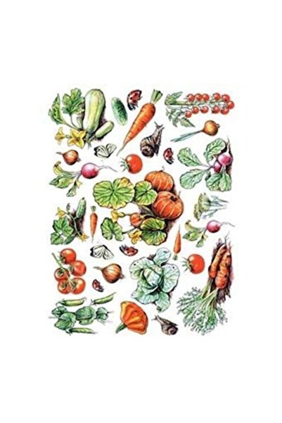 Cadence Model 25 - Brass Dekopaj Cadencecraft