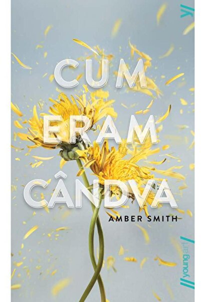 Editura Young Art Cum eram candva, Amber Smith