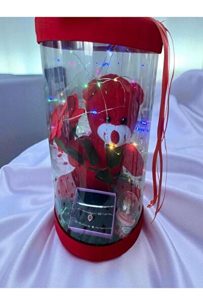 AYDA STORE PELUŞ OYUNCAKLI LEDLİ HEDİYE KUTUSU SETİ