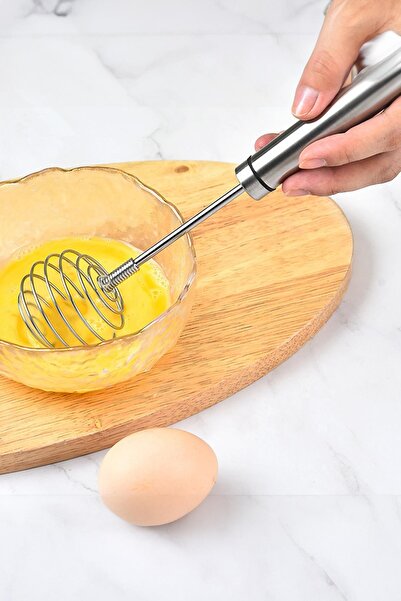 EWs Stainless Steel Spring Egg Beater 22 cm