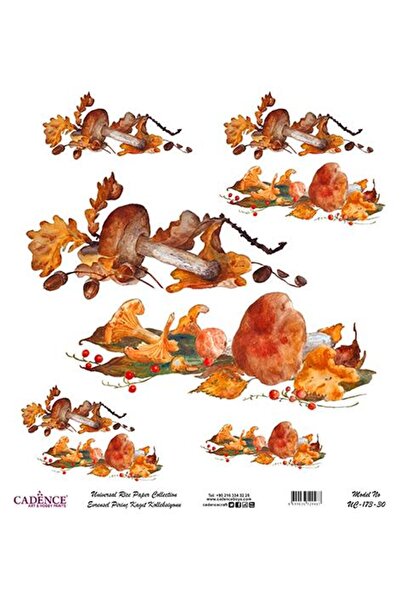 Cadence Universal Rice Decoupage Paper - Uc-173
