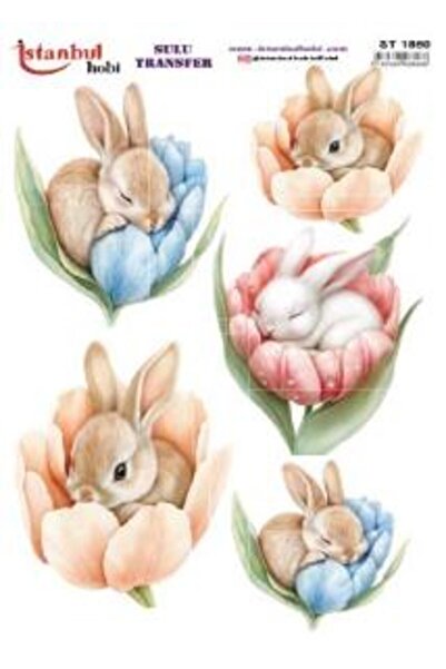 İstanbul Hobi ورق نقل مائي 25×35 سم ST-1860