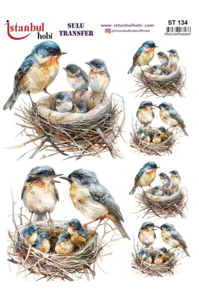 İstanbul Hobi ورق نقل مائي 25×35 سم ST-134