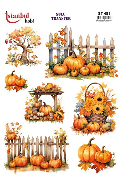 İstanbul Hobi ورق نقل مائي 25×35 سم ST-481