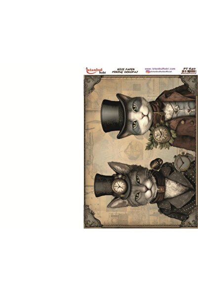 İstanbul Hobi Pirinç Dekopaj Kağıdı 30x42cm PT-640 Kedi