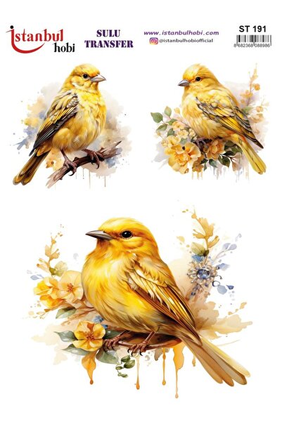 İstanbul Hobi ورق نقل مائي 25×35 سم ST-191