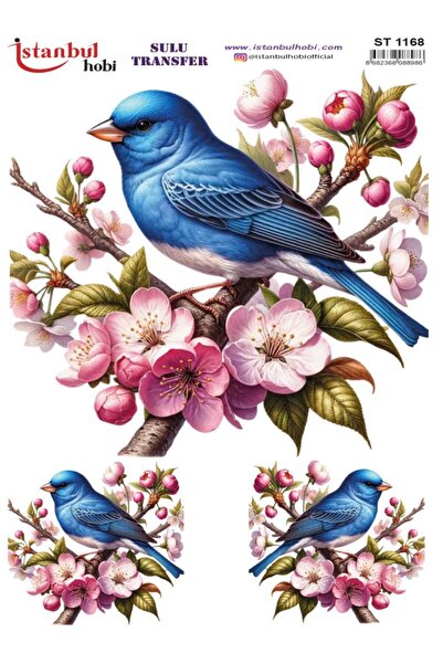 İstanbul Hobi ورق نقل مائي 25×35 سم ST-1168