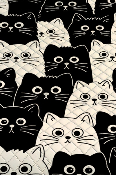 3D ELSE HALI Black and White Cats Patterned Single Pique Set Bedspread