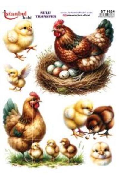 İstanbul Hobi ورق نقل مائي 25×35 سم ST-1624