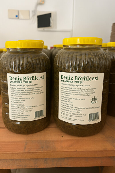 EgeOt Gıda Deniz Börülcesi Turşusu