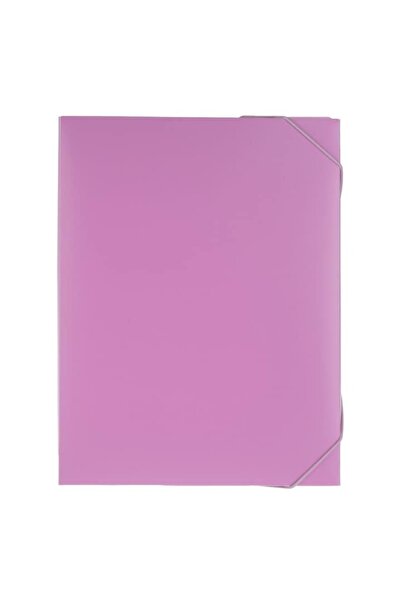 SHOPIENS Lilac Plastic Box Folder, 25x3.3x33 cm, Elastic Closure