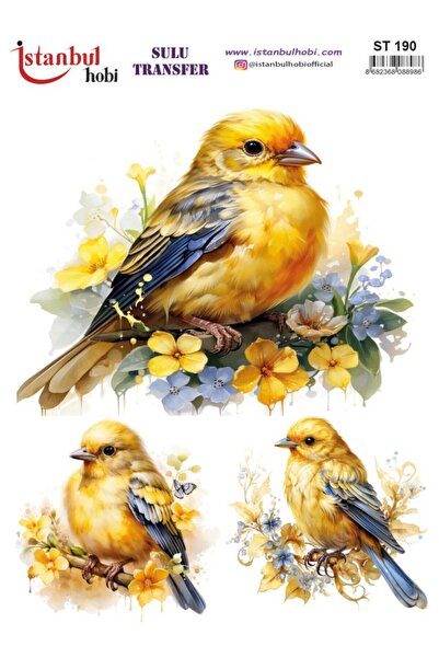 İstanbul Hobi ورق نقل مائي 25×35 سم ST-190
