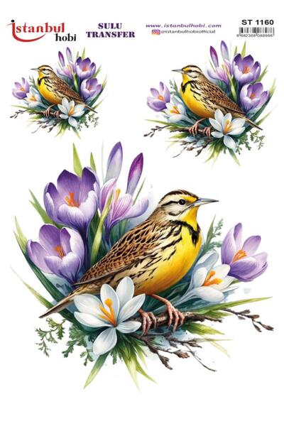 İstanbul Hobi ورق نقل مائي 25×35 سم ST-1160