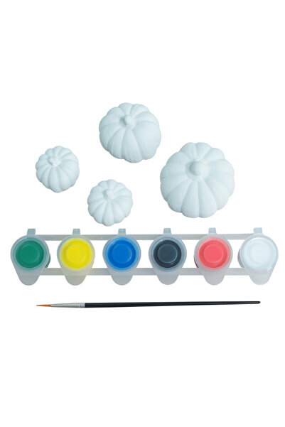 ehobici Taş Boyama Seti Bal Kabağı 6 Renk Akrilik Boya 5ml + Fırça